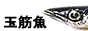 いかなごバナー