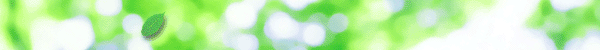 IXeIpV[̌җl̐